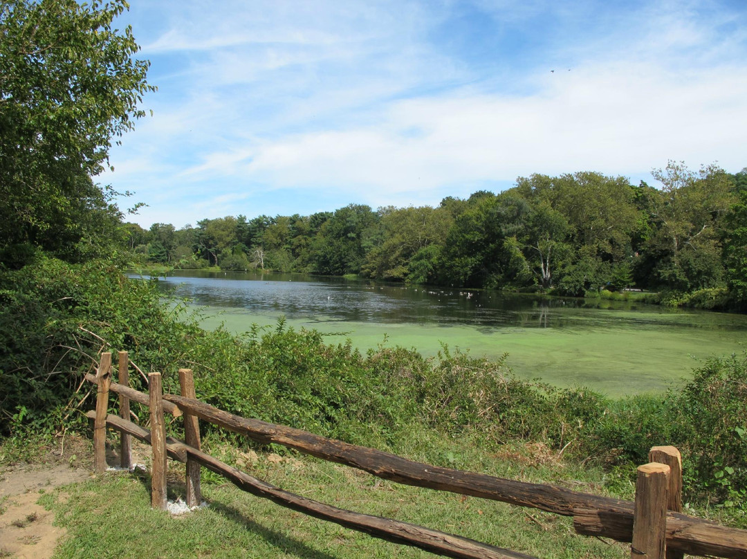 East Setauket Pond Park-East Setauket必去景点