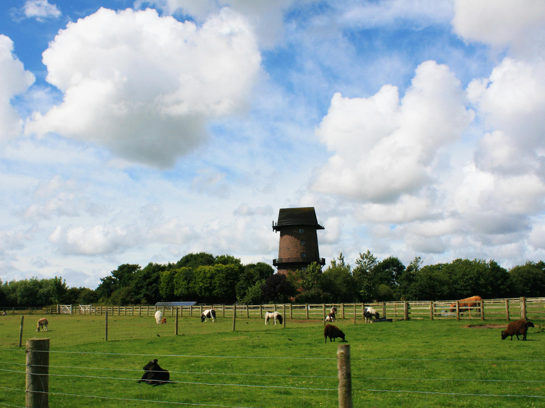 Windmill Animal Farm景点图片