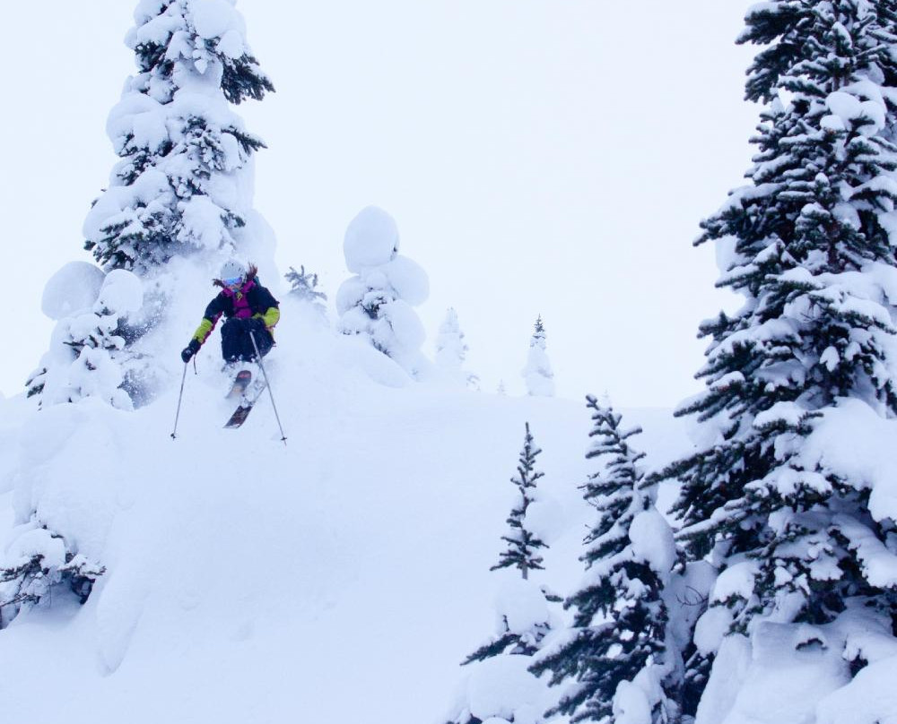 Skeena Cat Skiing Inc.景点图片