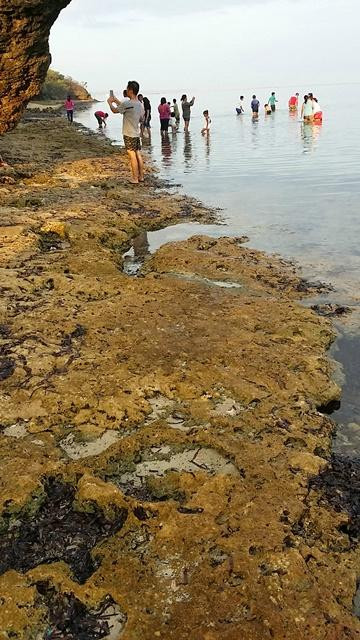 Rock Garden Resort