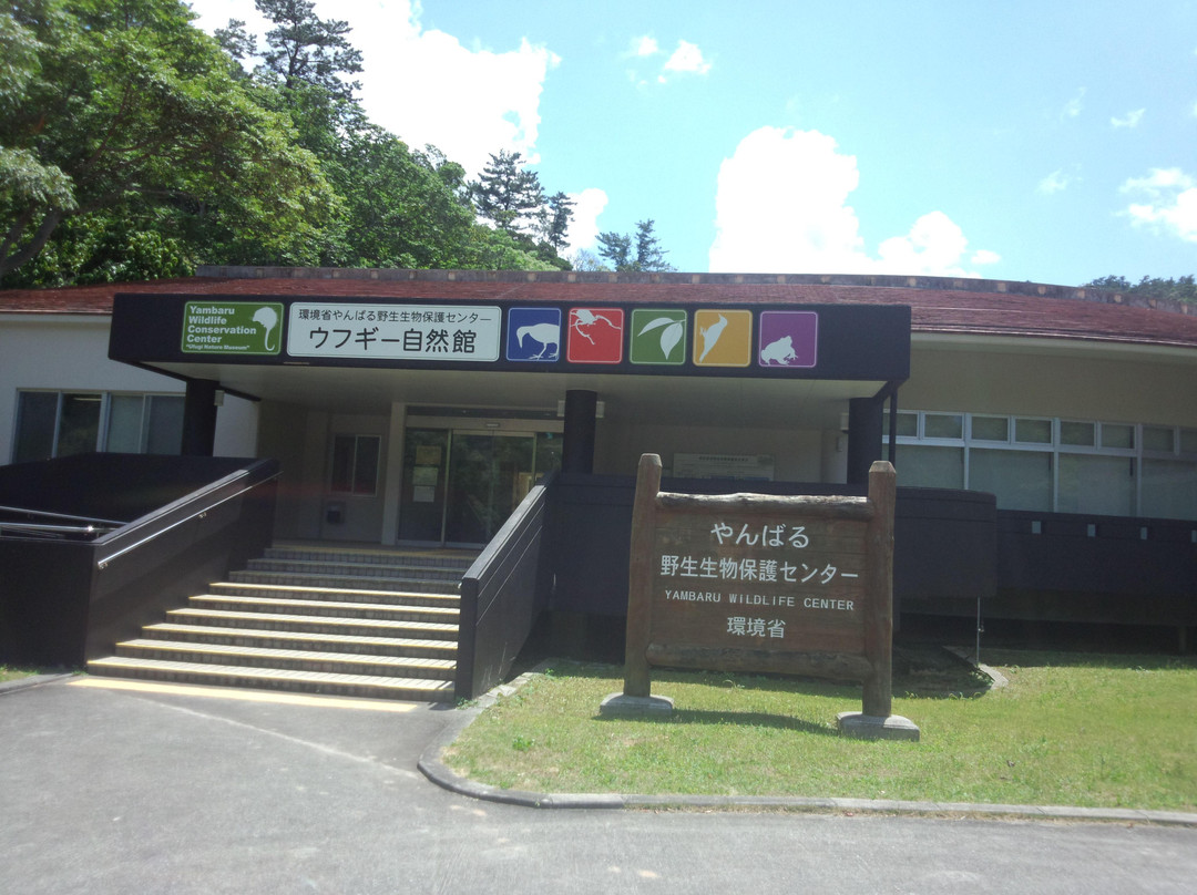 Yambaru Wildlife Center Ufugi Nature Museum景点图片