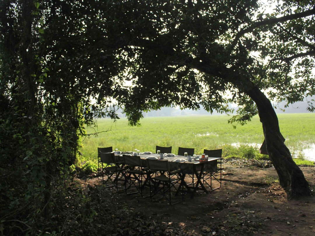 Leopard Safaris Wilpattu