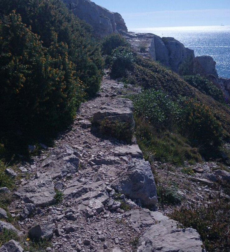 Calanque du Sugiton-马赛必去景点