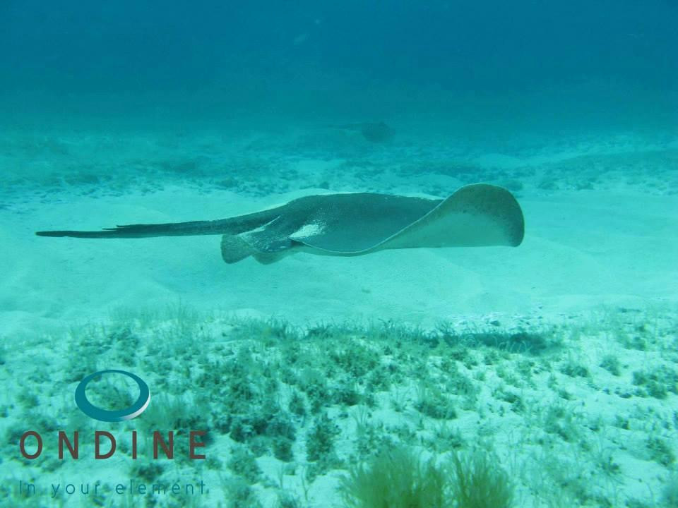 Ondine Escape - One Day Activities-马拉特克西必去景点