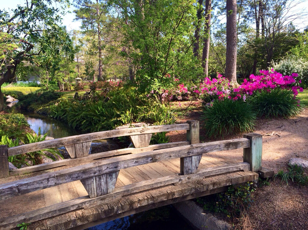 赫曼公园-休斯顿必去景点