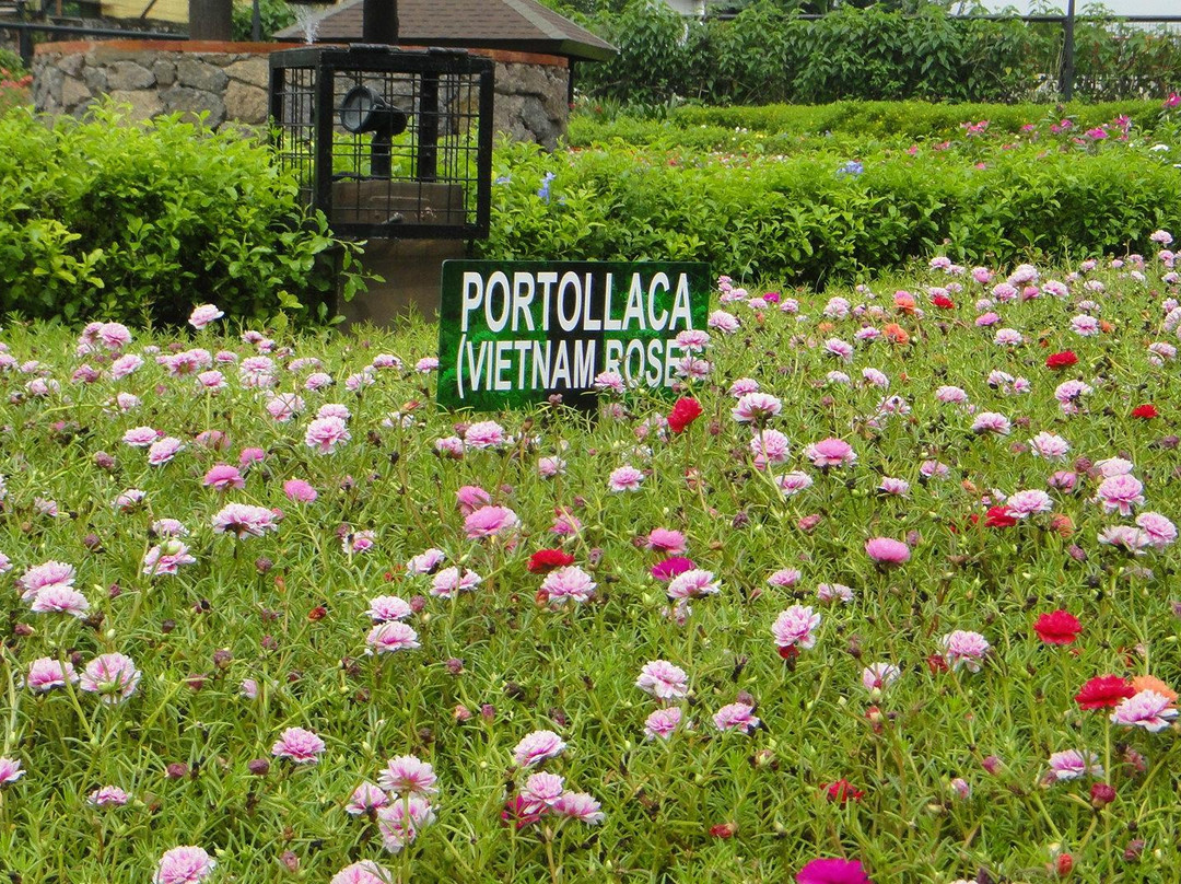 Pasig Rainforest Park-巴石必去景点