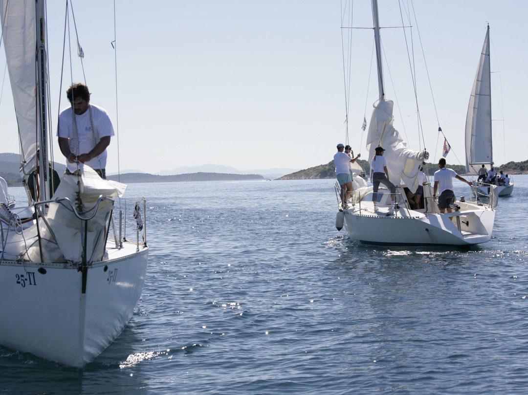 Adriatic Nautical Academy-Murter Island必去景点