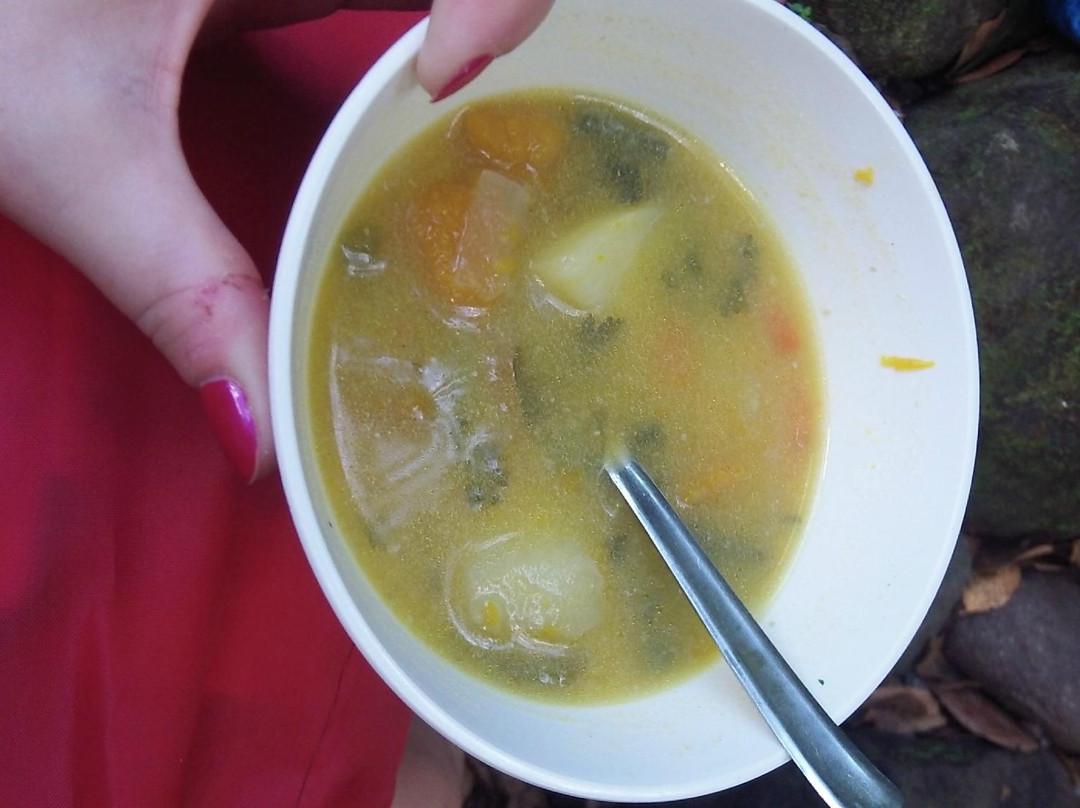 Sari-Sari Waterfall-多米尼克必去景点