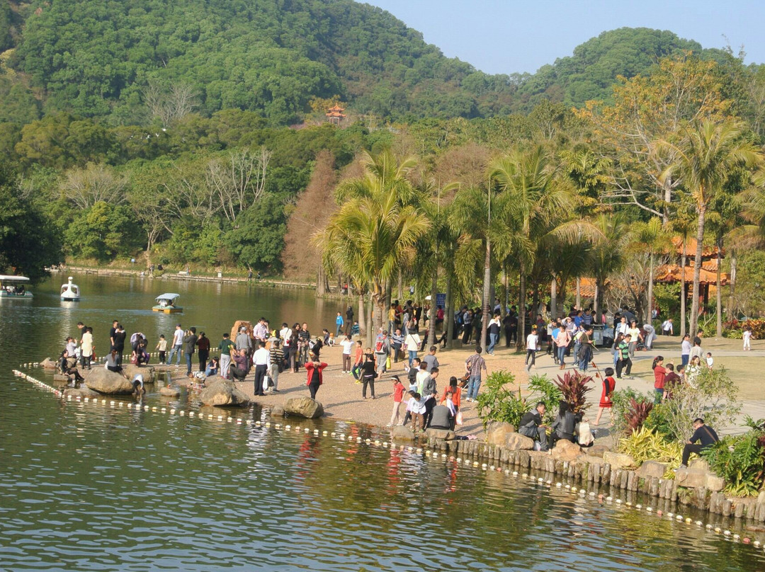 仙湖植物园-深圳市必去景点