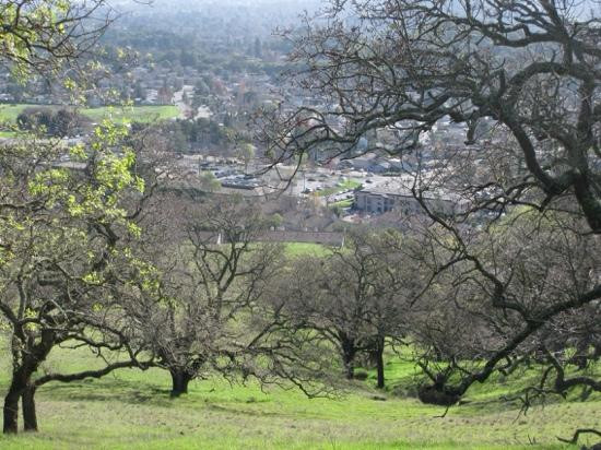 印度谷高尔夫球场-Novato必去景点