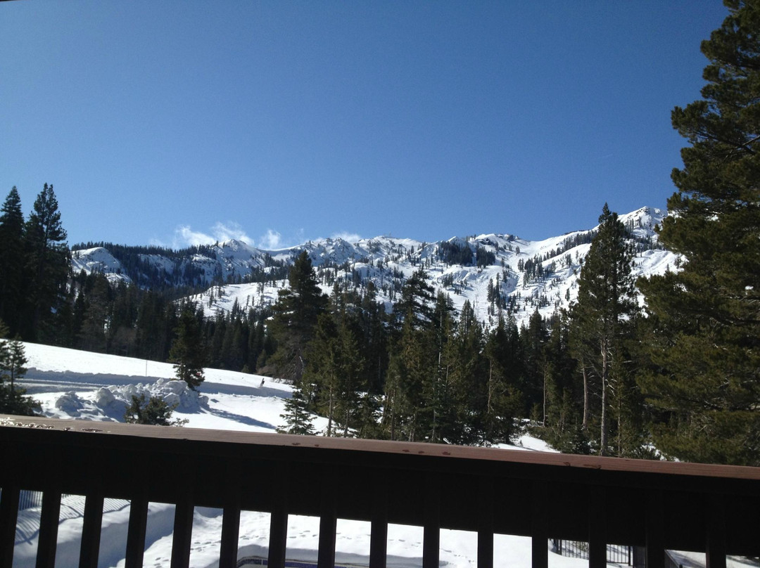 Stanford Alpine Chalet