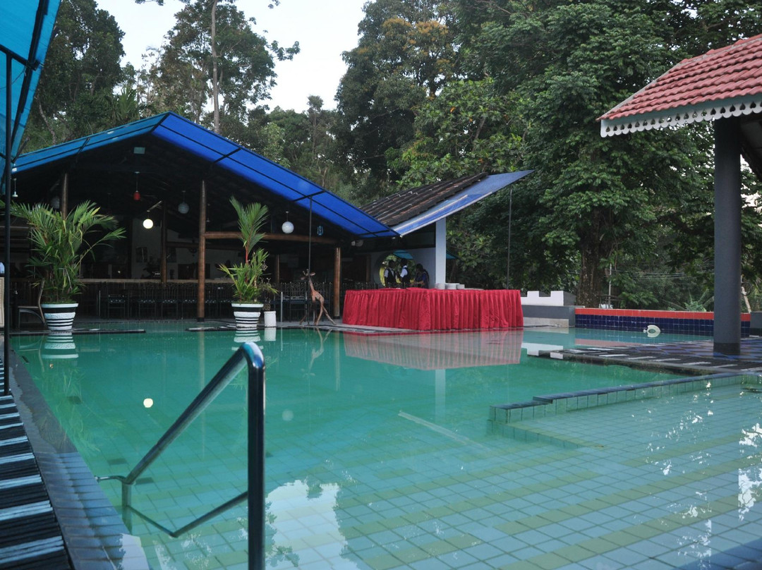 Mount Field Resort