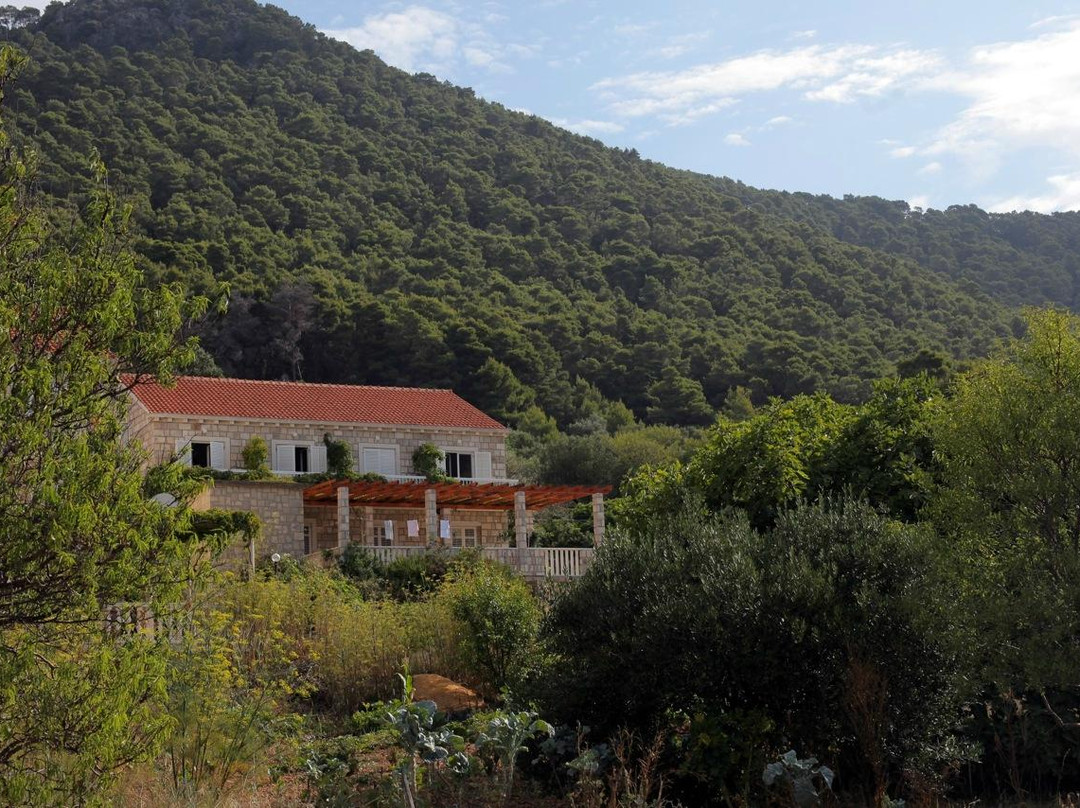 Apartments Soline