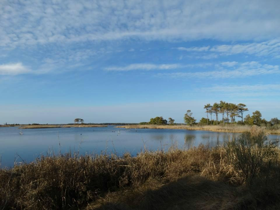 Gordons Pond-里霍博斯比奇必去景点