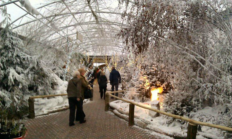 Sanders Garden Centre景点图片