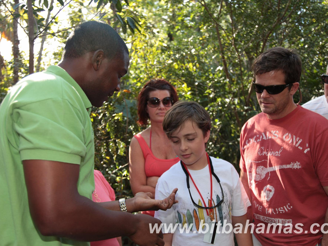 Bahamas Interisland Ecotours - Day Tours景点图片