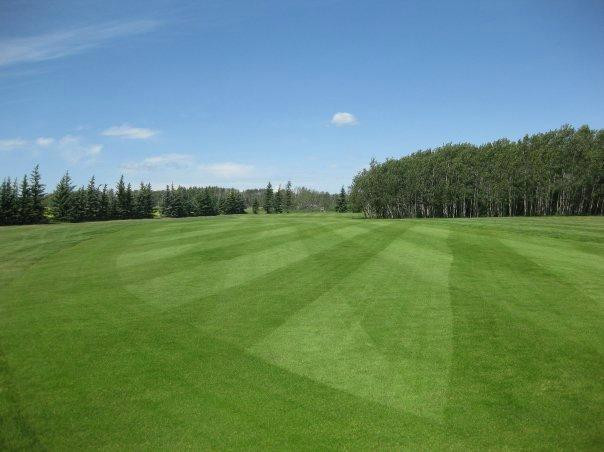 Morningview Park Golf Course-Sexsmith必去景点