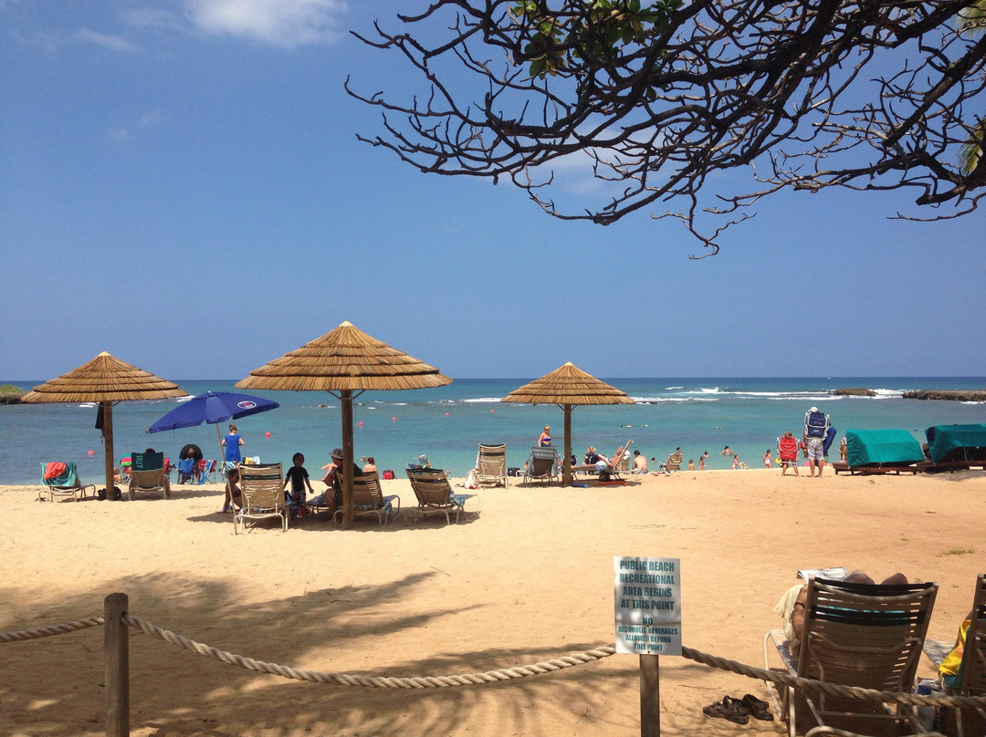 Private Tours Hawaii-火奴鲁鲁必去景点