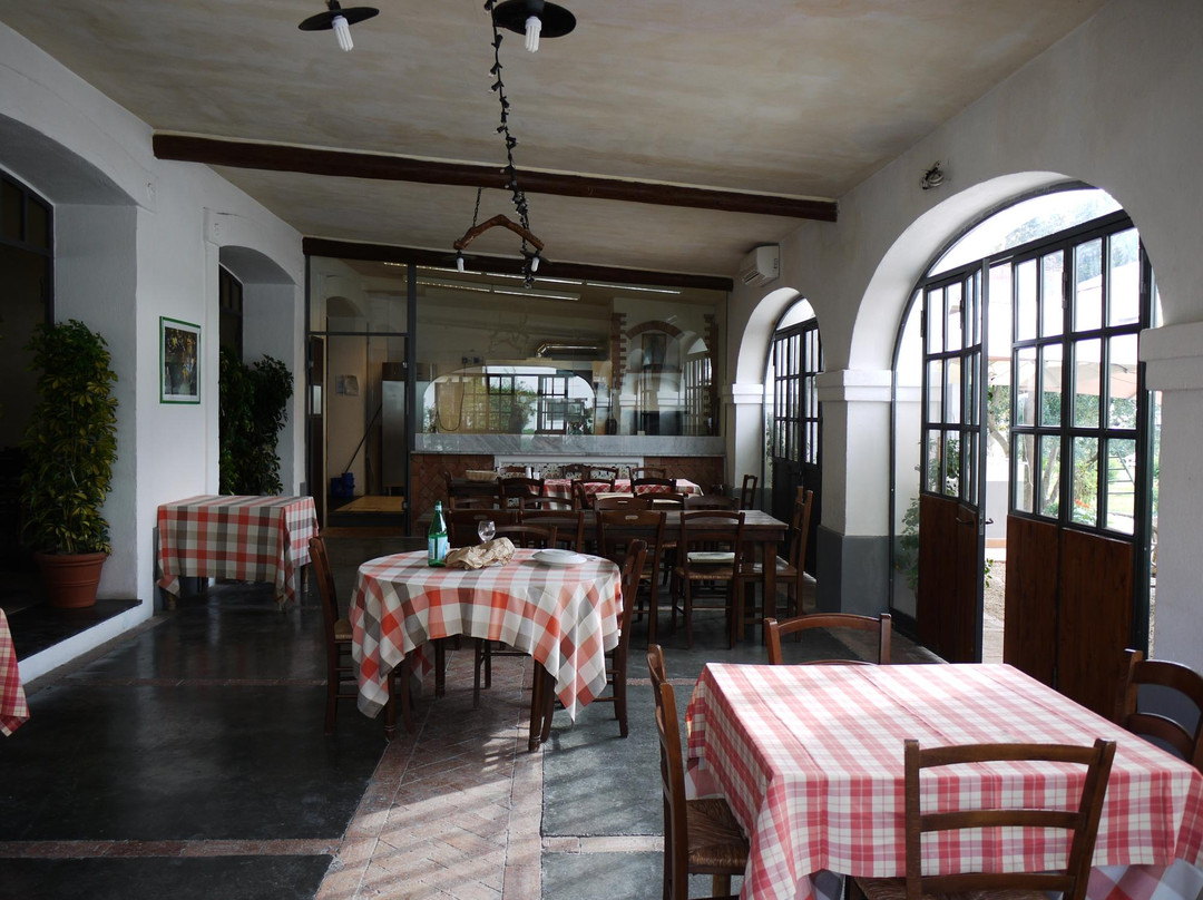 Tenuta Monte Sant'Angelo主图