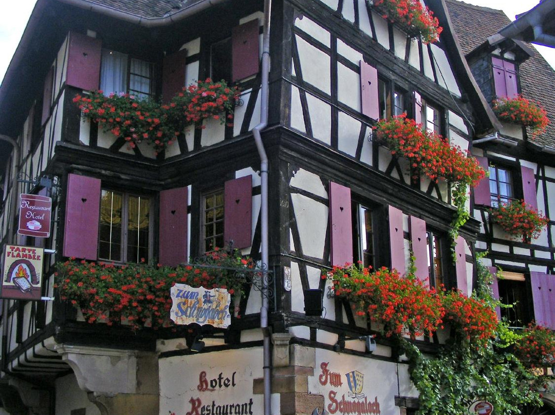 Bernardswiller酒店住宿-Zum Schnogaloch