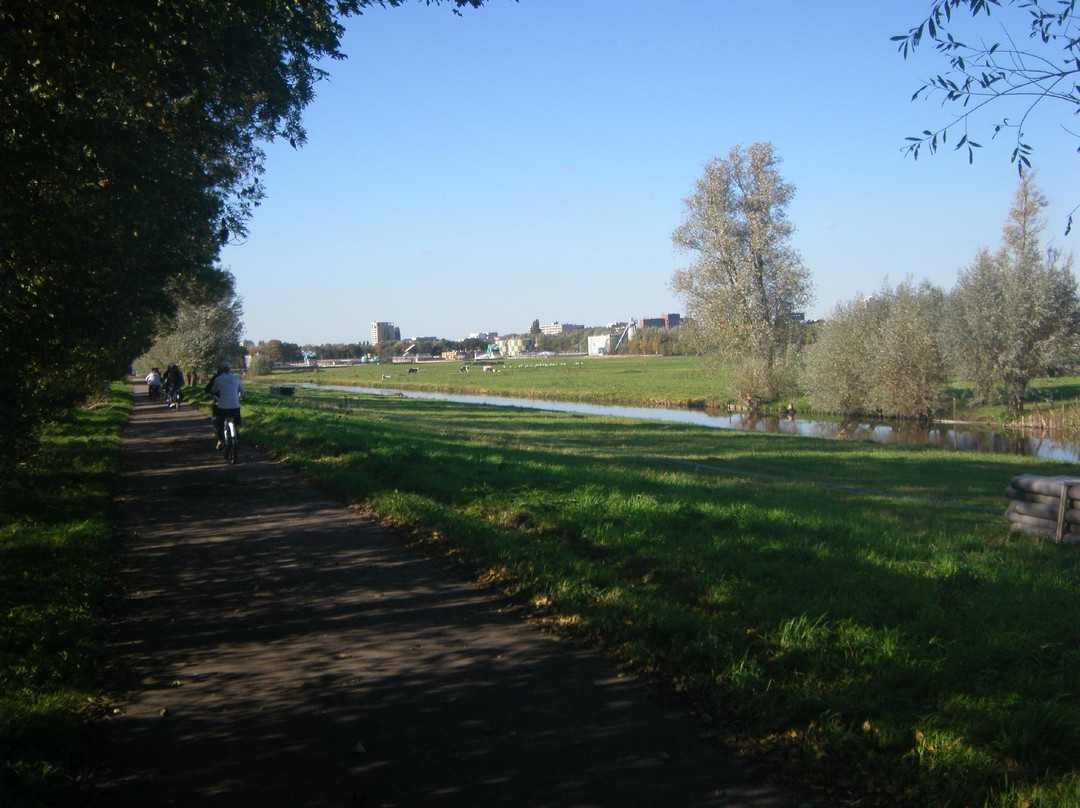 麦克单车游-阿姆斯特丹必去景点