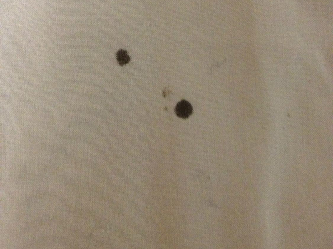 Gowrie Hotel Motor Inn主图