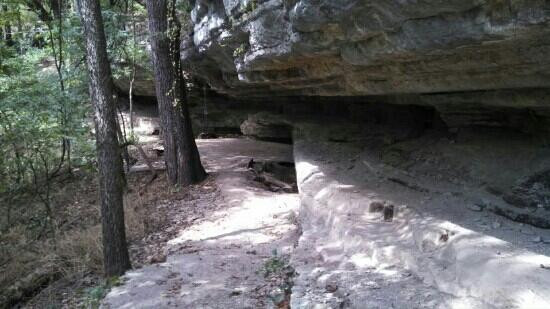 Slaughter Pen Hollow Multi-Use Trail System景点图片