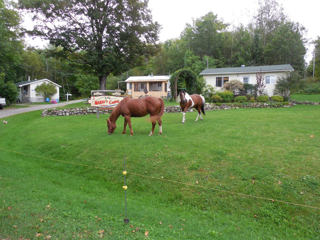 Maria's Cabins