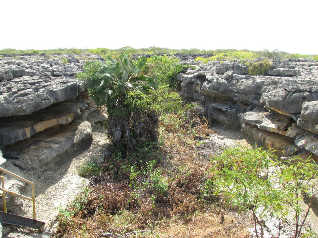 Lajedo de Soledade Archeology Museum景点图片