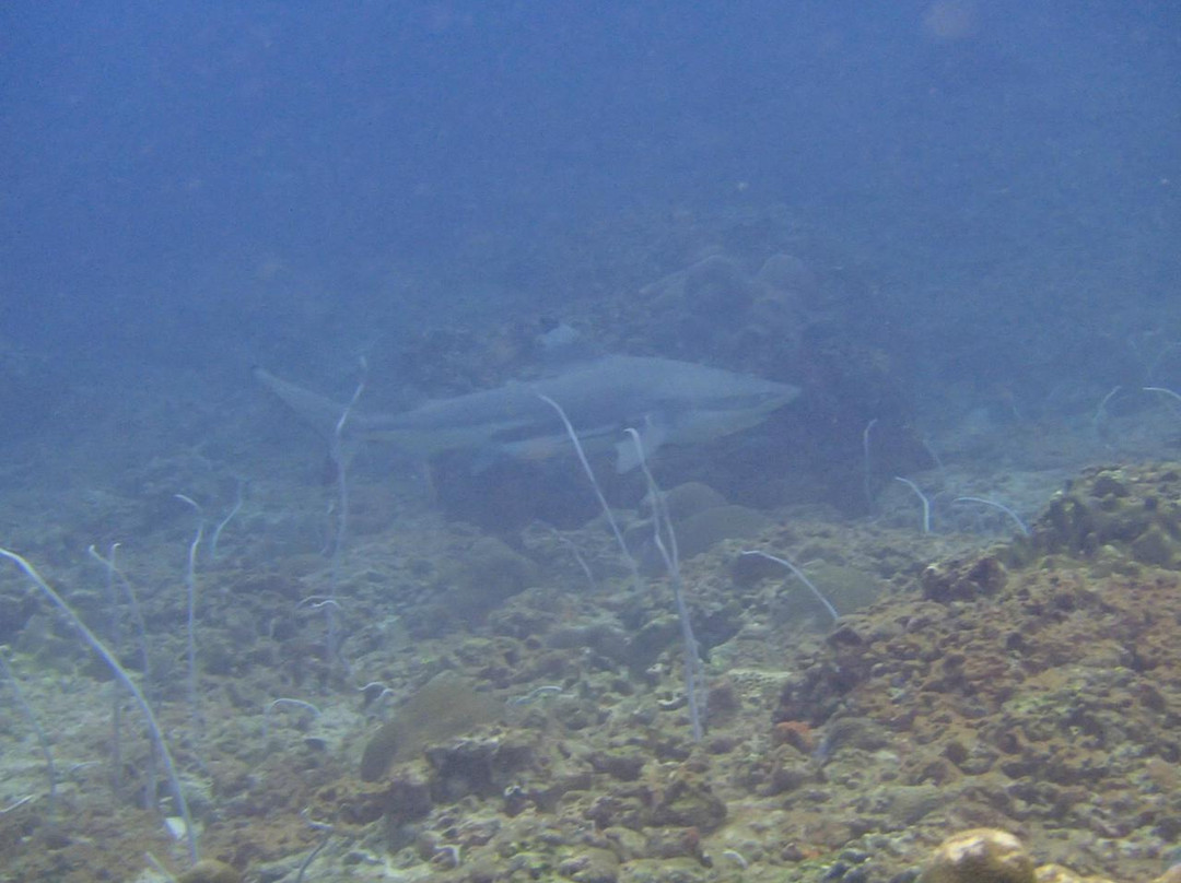 皮皮岛浮潜-大皮皮岛必去景点