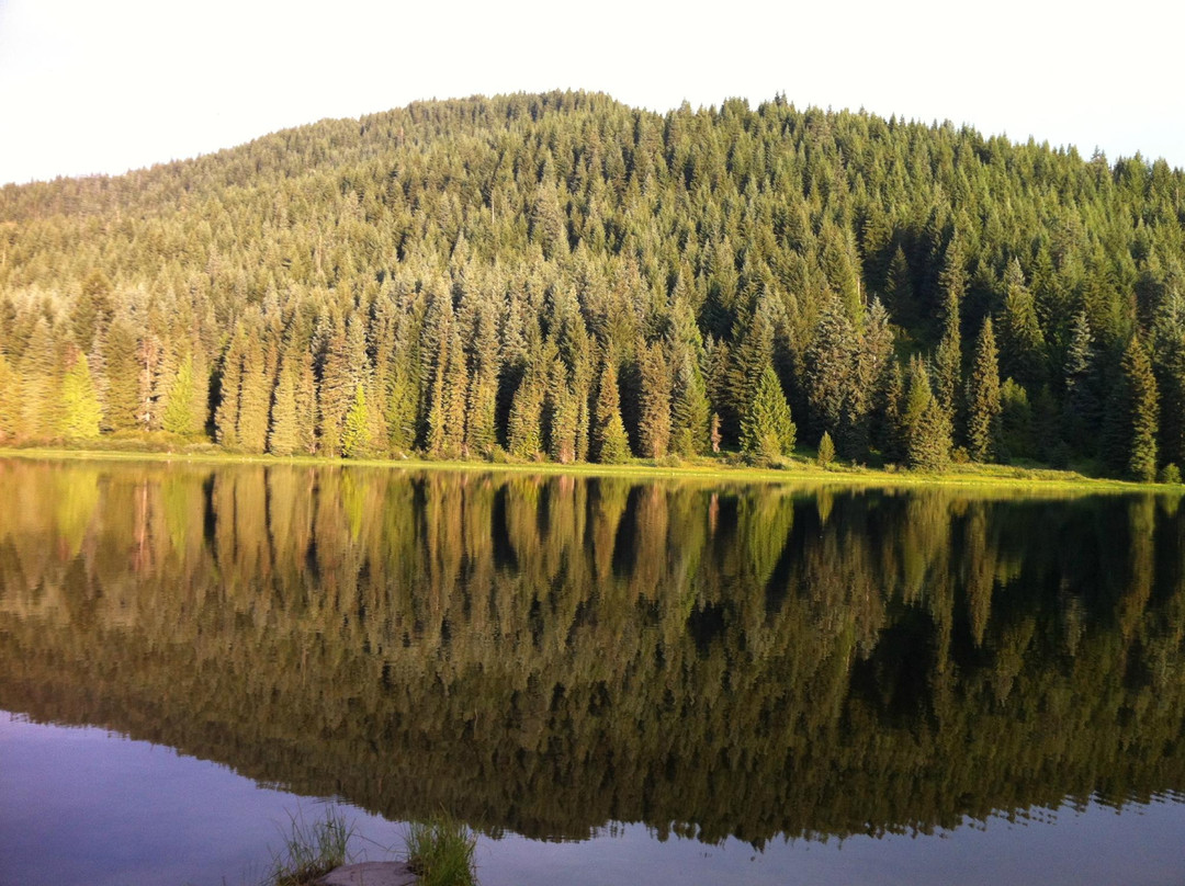 延龄草湖-Government Camp必去景点