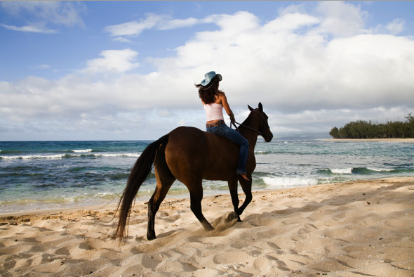Oahu Horseback Rides-瓦亚禄必去景点