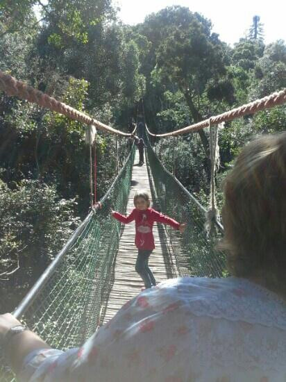 Monkeyland Primate Sanctuary-The Crags必去景点