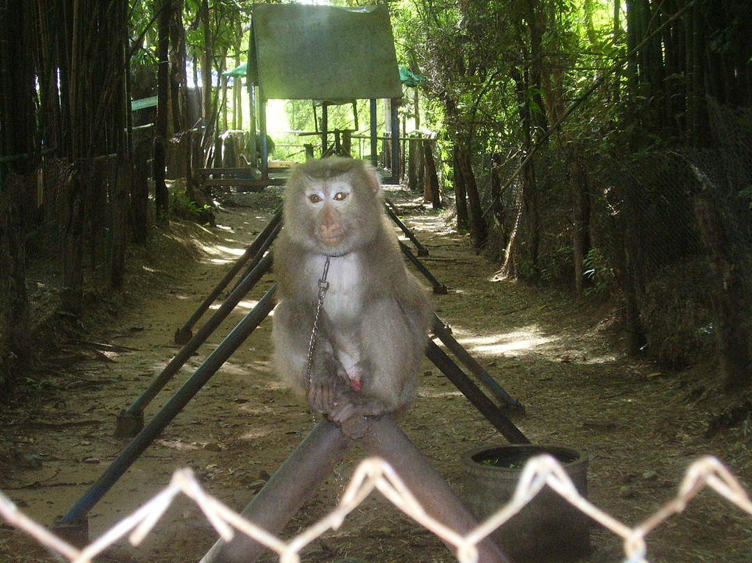 Trakarn zoo ubon-打干普奔必去景点