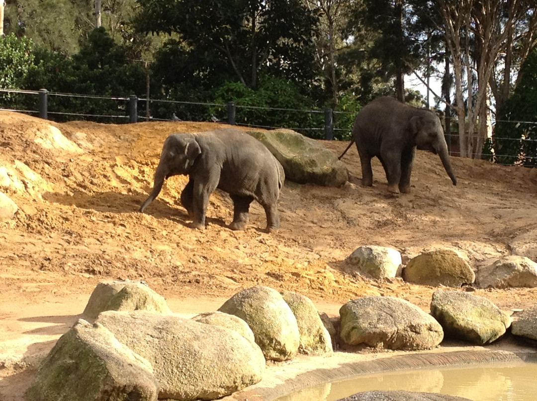 墨尔本动物园-墨尔本必去景点