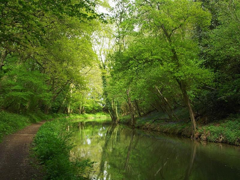 Basingstoke Canal景点图片