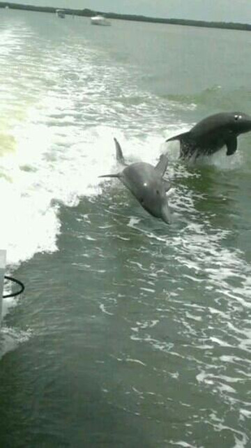 Fish-Tale Marina-迈尔斯堡海滩必去景点