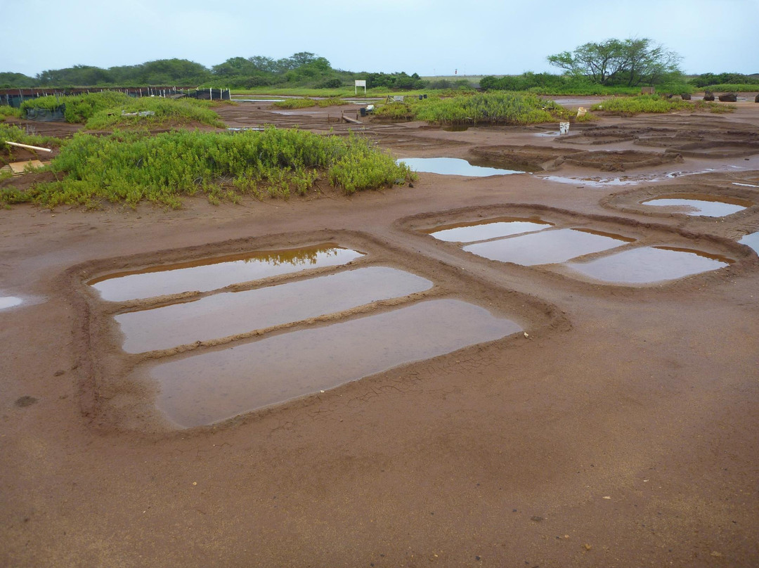 Hanapepe Salt Ponds-哈纳佩佩必去景点