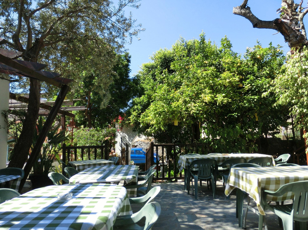 Bunch of Grapes Inn Hotel主图