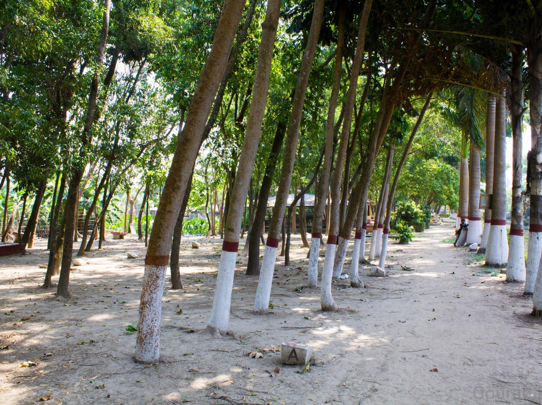 Malancha Nature Park