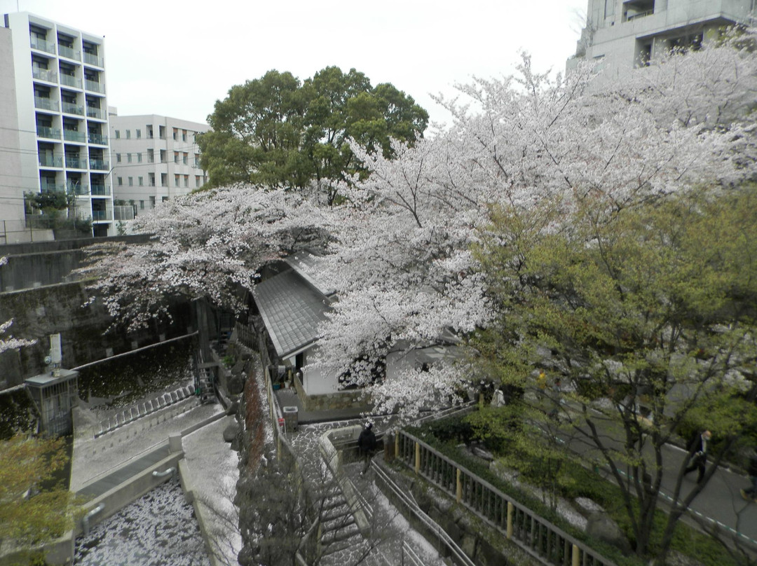 Otonashi Shinsui Park-北区必去景点