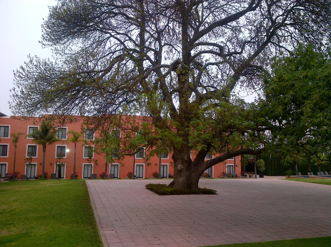 El Diezmo Hotel主图