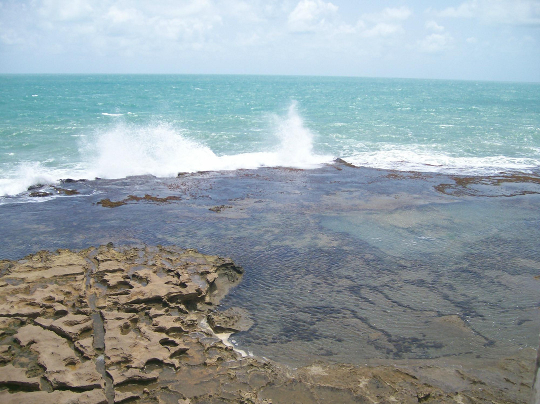 Forte beach景点图片