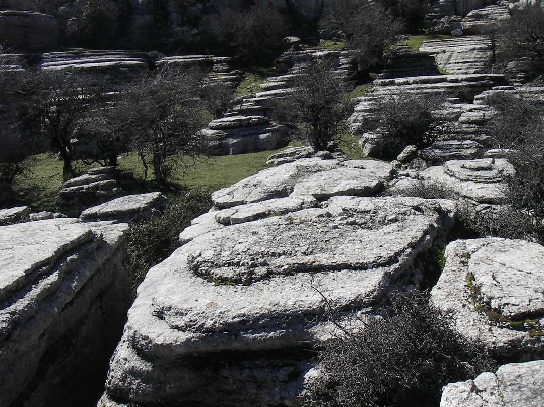 El Torcal de Antequera景点图片