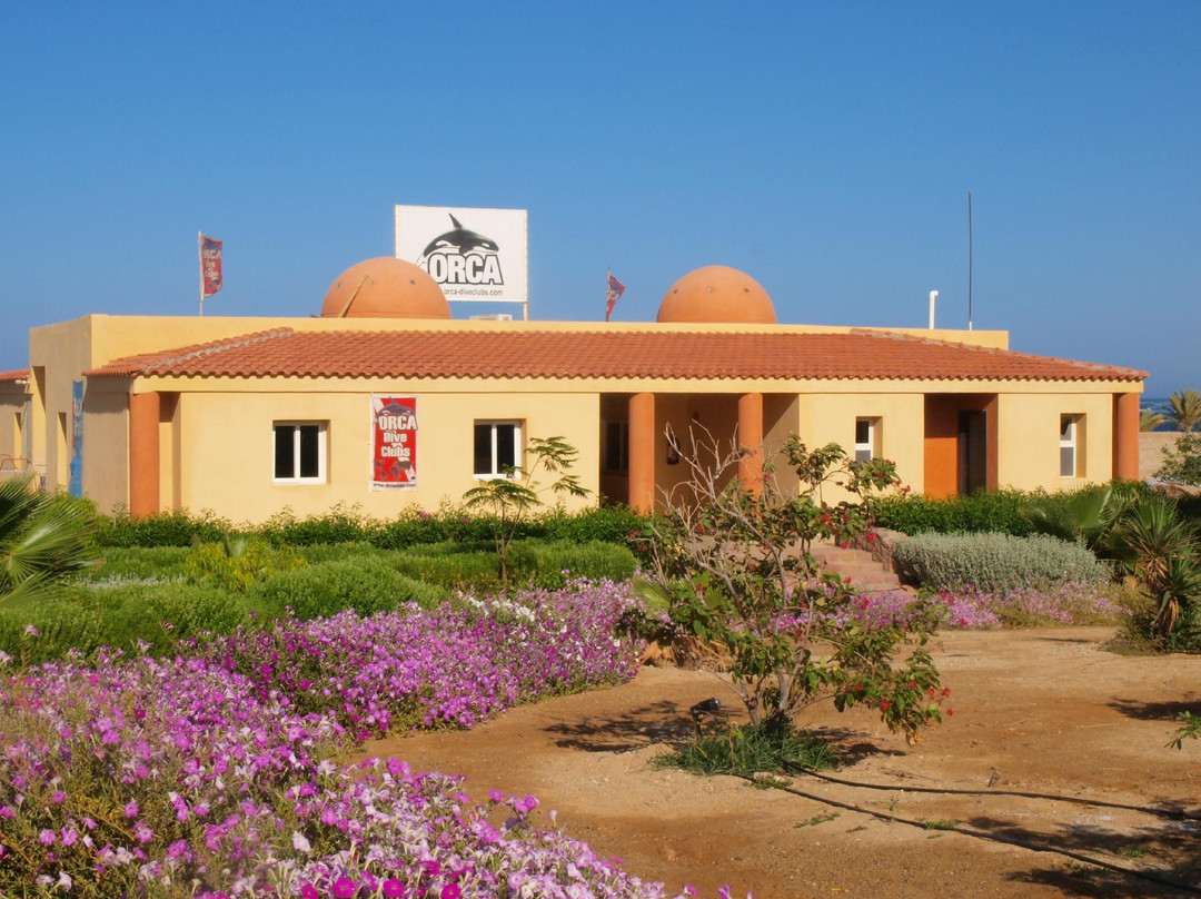 ORCA Dive Club Wadi Lahmy-马萨阿拉姆必去景点