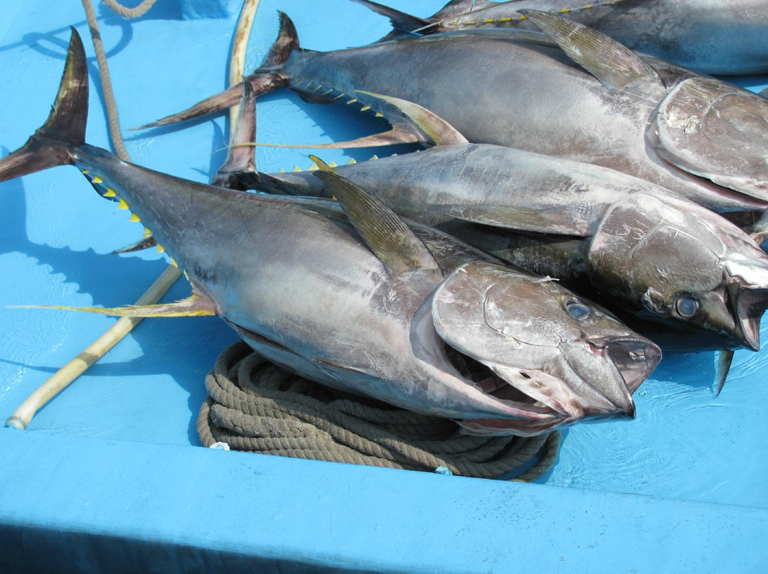 马累男士本地市场-马累必去景点