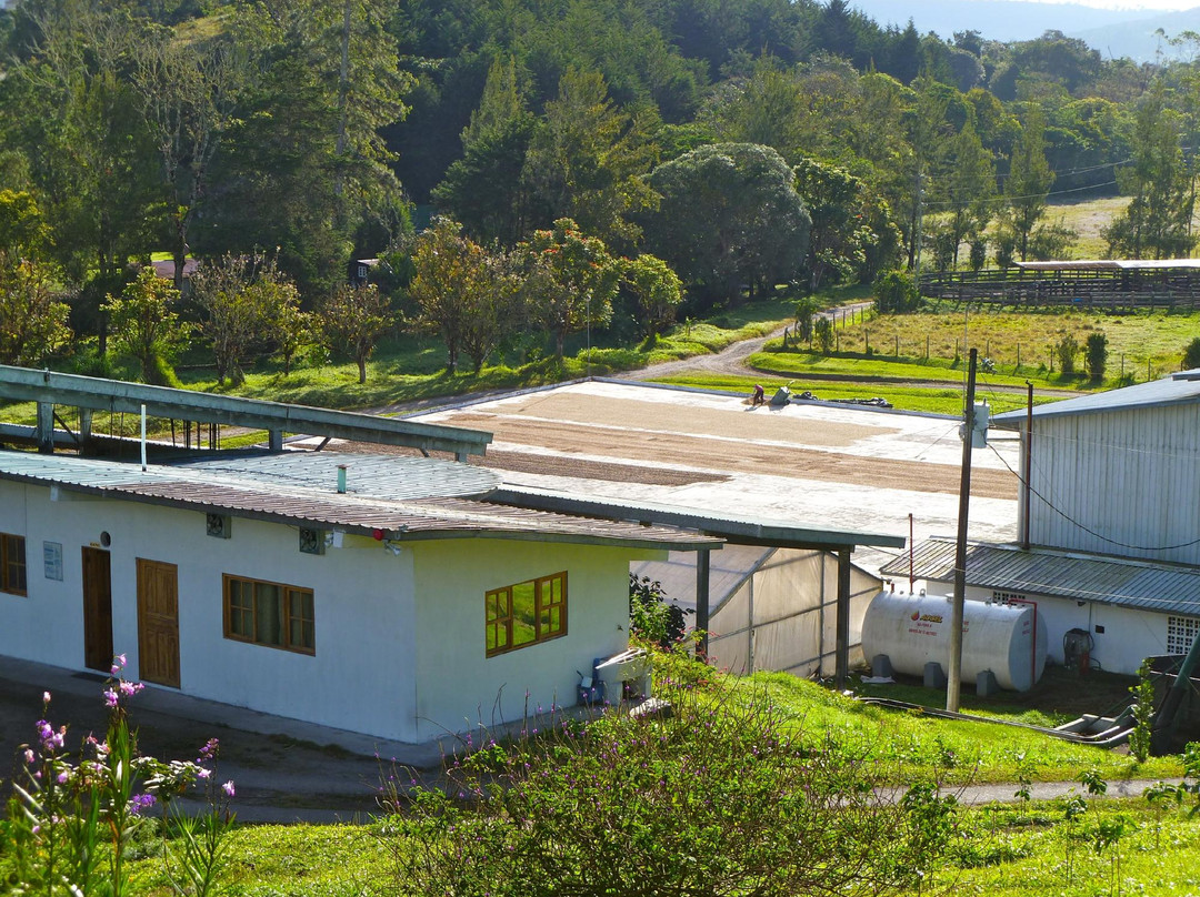 Lagunas Adventures on The Janson Coffee Farm景点图片