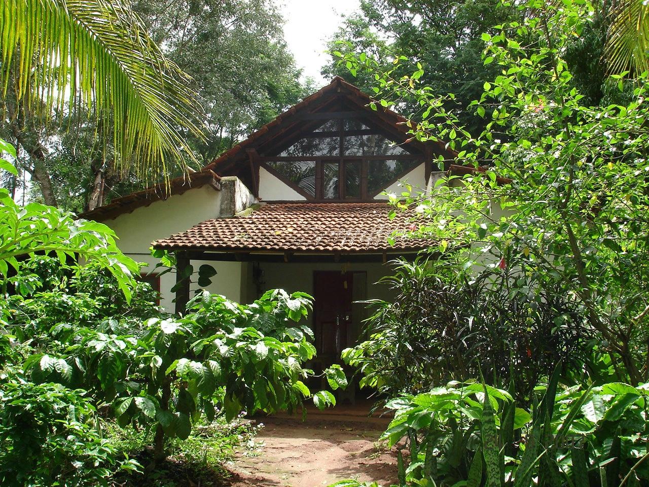 The Last Resort-官方