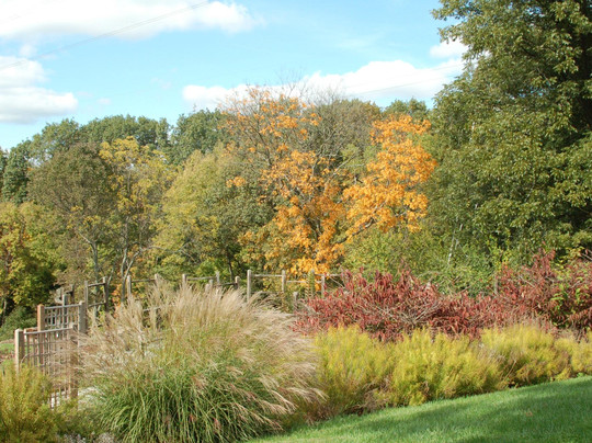 Mount Airy Forest-辛辛那提必去景点