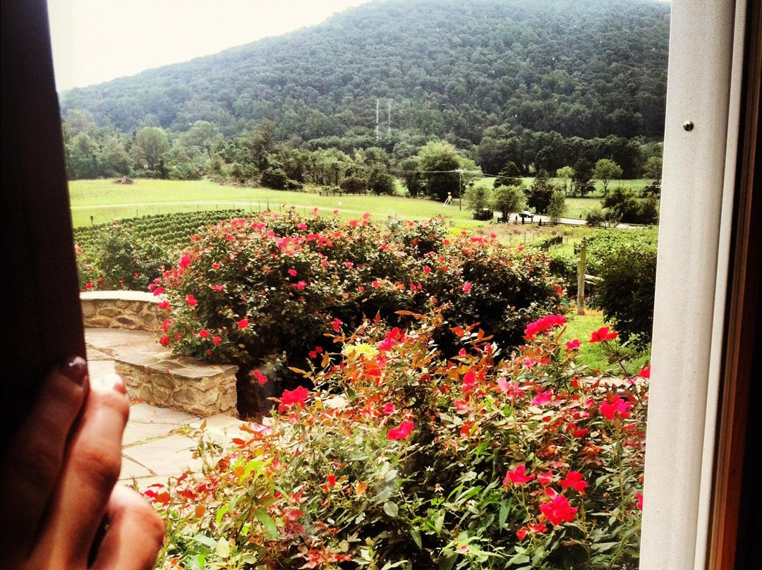 Hillsborough Vineyards-Purcellville必去景点